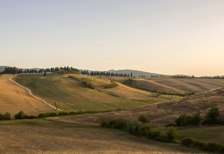 Tuscany Landscape