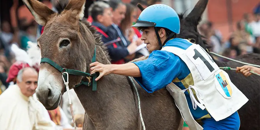 Palio degli Asini