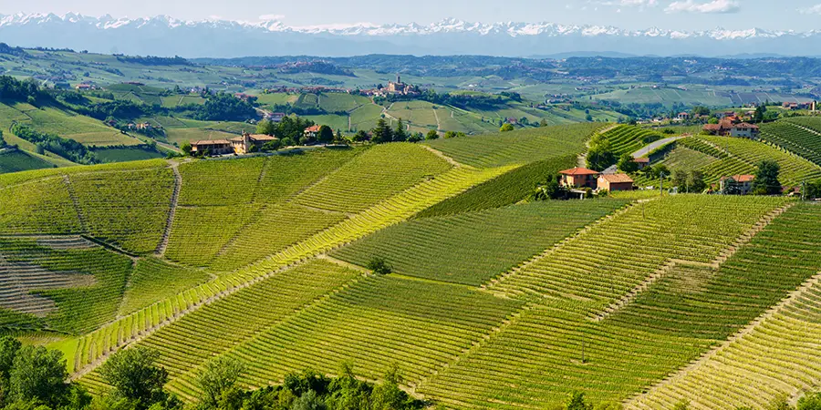 Aerial view of Langhe