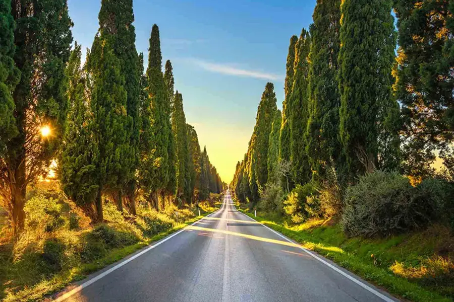 Estrada cênica ladeada por altos ciprestes ao pôr do sol em Bolgheri, Toscana, Itália