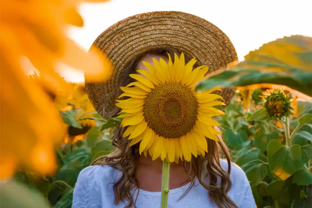Mulher segurando um girassol em frente ao rosto em um campo florido ao pôr do sol na Toscana