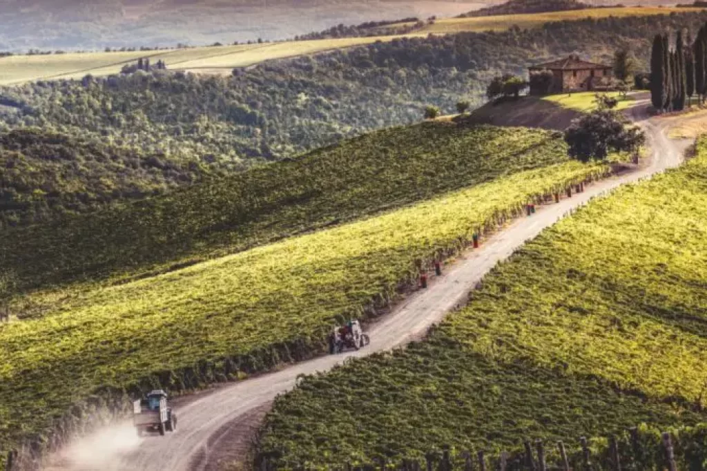 vinicolas-na-toscana-castigliondelbosco-2